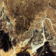 Illustration for article titled The Algerian Sahara Looks Stunning From Orbit